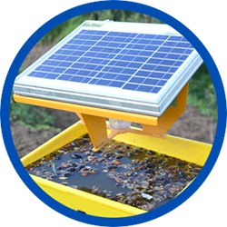 Solar Insect Trap